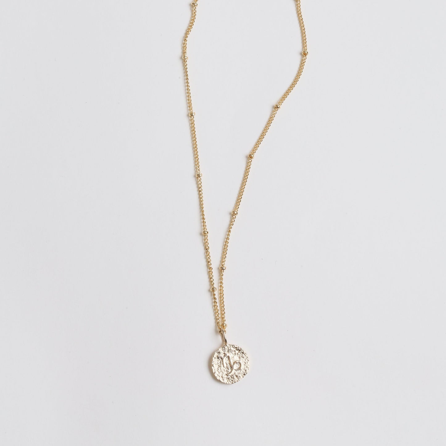 Capricorn Zodiac Necklace